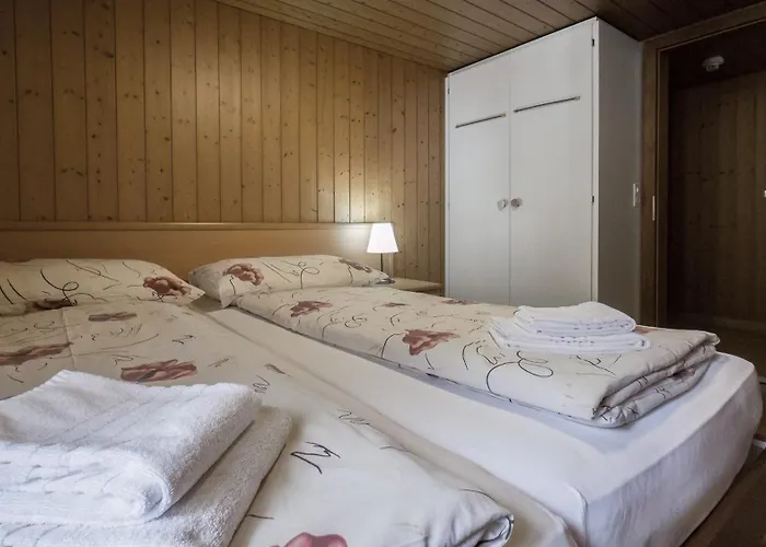 Roessli Lejlighed Interlaken